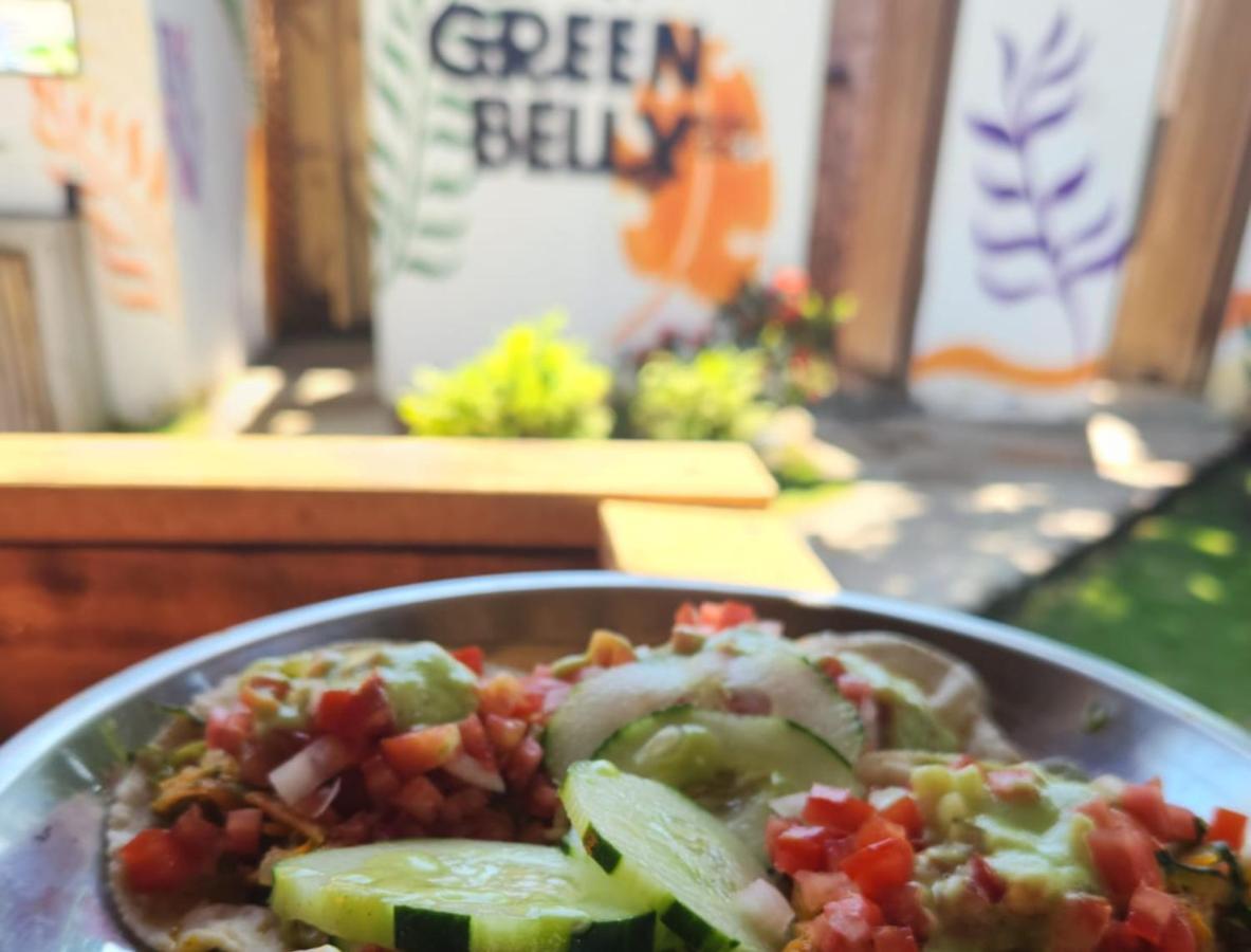 Green Belly Surf Hostel El Paredón Buena Vista 外观 照片