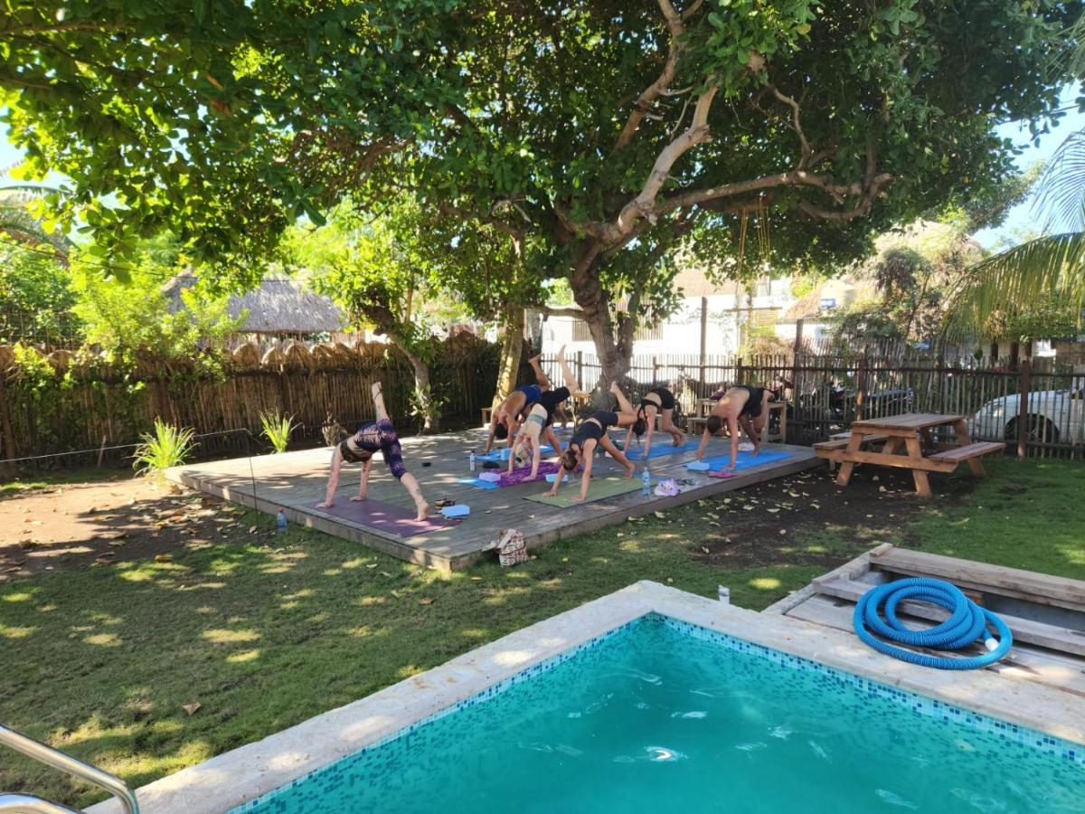 Green Belly Surf Hostel El Paredón Buena Vista 外观 照片